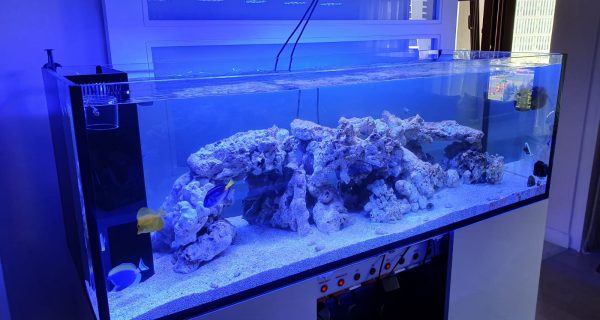 c697b54b-3e74-4d32-80f0-fd8af2b92a97