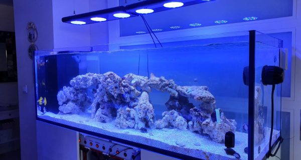 e88a0730-a4e2-4224-a02b-7da25453c747